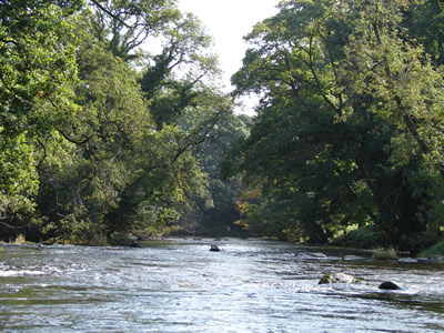 Cefn Rhosan Fawr